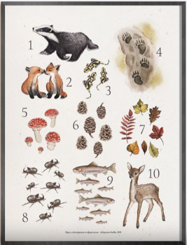 Плакат 