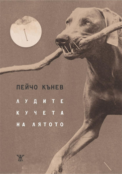 Лудите кучета на лятото