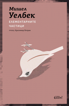 Елементарните частици