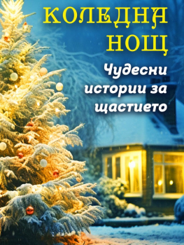 Коледна нощ. Чудесни истории за щастието
