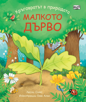 Кръговратът в природата: Малкото дърво