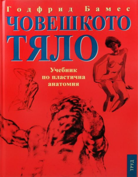 Човешкото тяло - учебник по пластична анатомия 