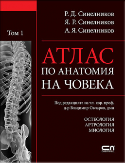 atlas_po_anatomiq_1_hrm_20200901160342.jpg