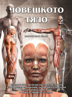 choveshkoto-tyalo-atea-hrm_20200901160342.jpg