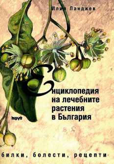 lechebnite_rasteniq_hrm_20200901160342.jpg