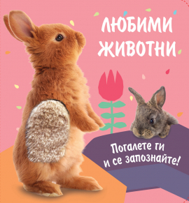Любими животни. Погалете ги и се запознайте - Зайче 