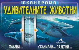 Сканорама: Удивителните животни. Плъзни, сканирай, разкрий