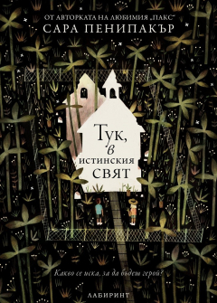 tuk-v-istinskiya-svyat-sara-peniparker-labirint-9786197055757_20210316141045.jpg